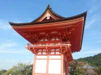 20121026_115814.jpg